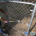 Plastic coated Green Sports Basketball Court fence